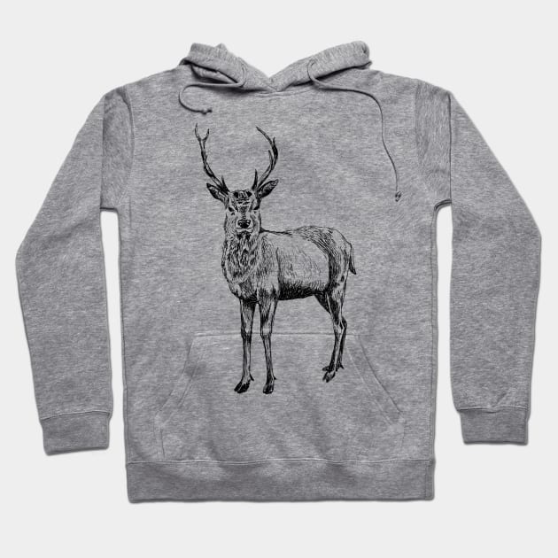 Deer Hoodie by rachelsfinelines